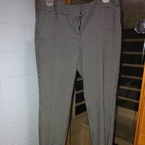 Dress Pants From Express